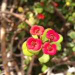 IMAG0487