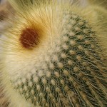 IMAG0496
