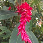 IMAG0551