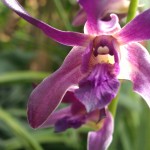 IMAG0564