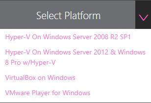Select virtual machine platform
